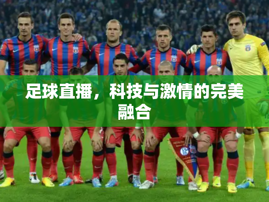 足球直播，科技与激情的完美融合