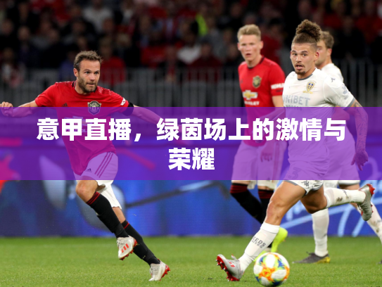 意甲直播，绿茵场上的激情与荣耀