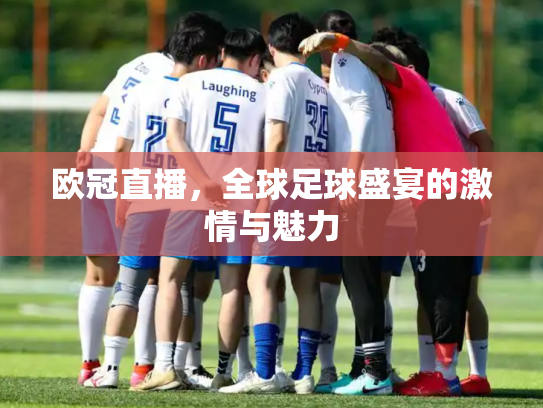 欧冠直播，全球足球盛宴的激情与魅力