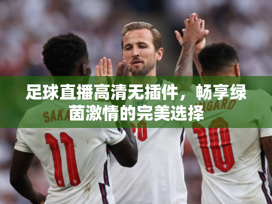 足球直播高清无插件，畅享绿茵激情的完美选择