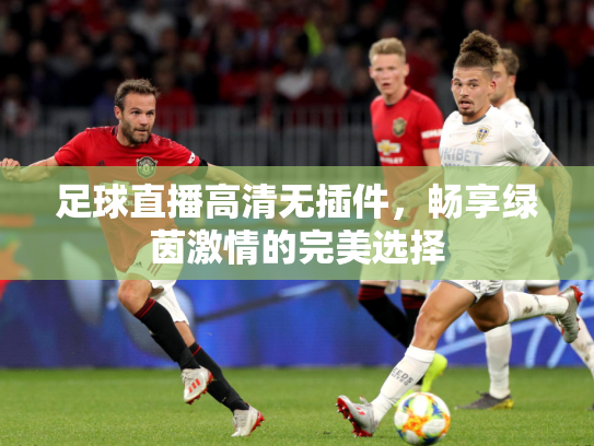 足球直播高清无插件，畅享绿茵激情的完美选择