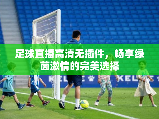 足球直播高清无插件，畅享绿茵激情的完美选择