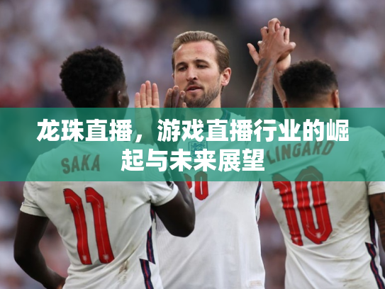 龙珠直播，游戏直播行业的崛起与未来展望