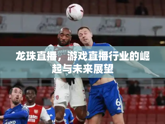 龙珠直播，游戏直播行业的崛起与未来展望