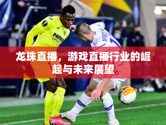 龙珠直播，游戏直播行业的崛起与未来展望