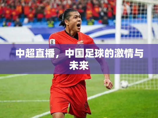 中超直播，中国足球的激情与未来