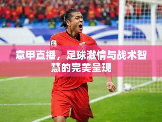 意甲直播，足球激情与战术智慧的完美呈现