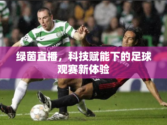 绿茵直播，科技赋能下的足球观赛新体验