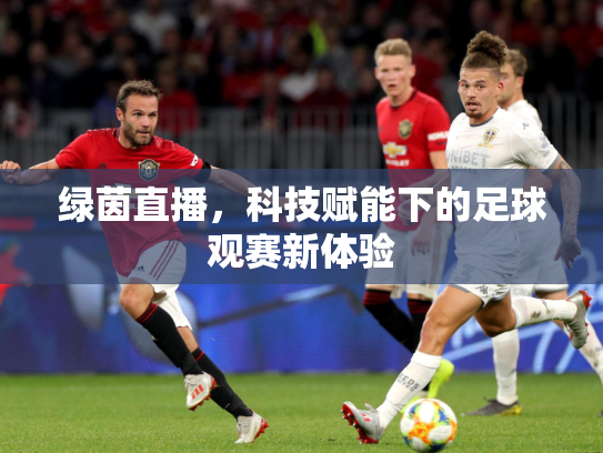 绿茵直播，科技赋能下的足球观赛新体验