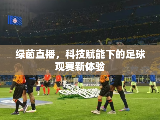 绿茵直播，科技赋能下的足球观赛新体验