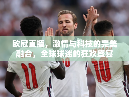 欧冠直播，激情与科技的完美融合，全球球迷的狂欢盛宴