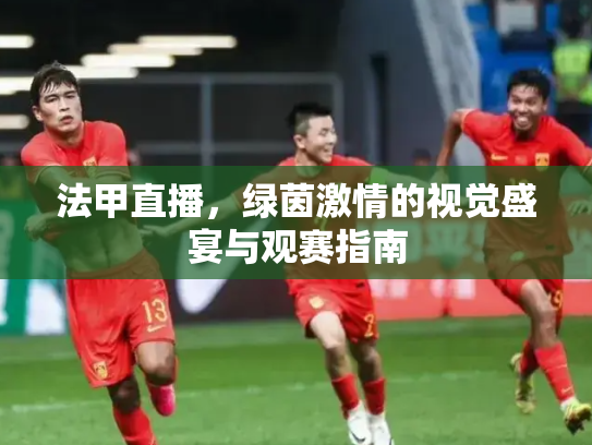 法甲直播，绿茵激情的视觉盛宴与观赛指南