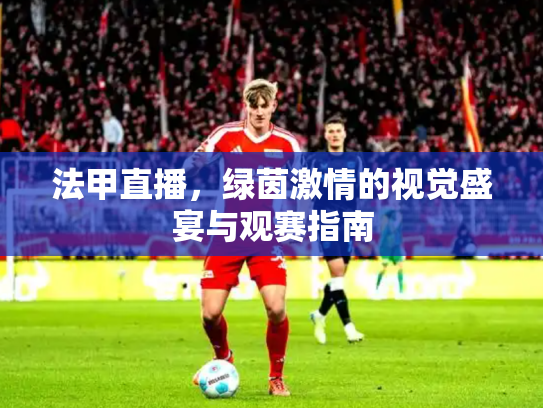 法甲直播，绿茵激情的视觉盛宴与观赛指南