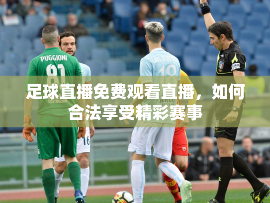 足球直播免费观看直播，如何合法享受精彩赛事