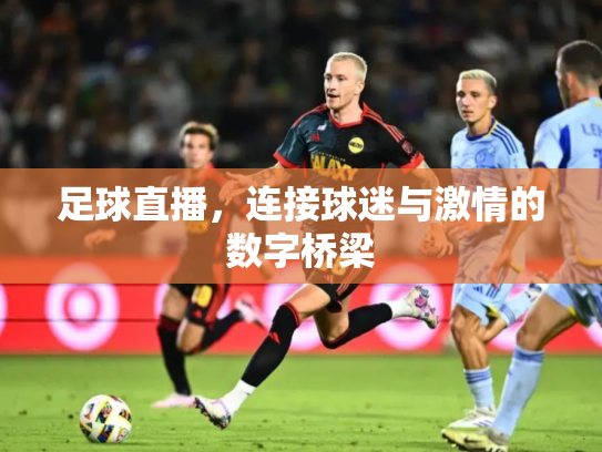 足球直播，连接球迷与激情的数字桥梁