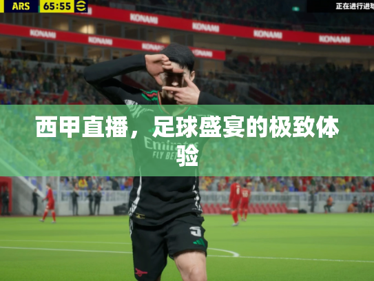 西甲直播，足球盛宴的极致体验