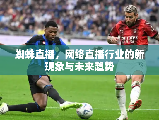 蜘蛛直播，网络直播行业的新现象与未来趋势