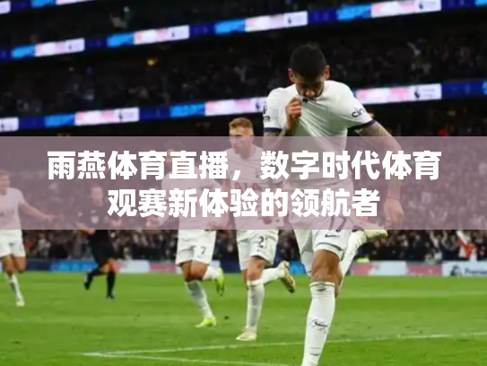 雨燕体育直播，数字时代体育观赛新体验的领航者