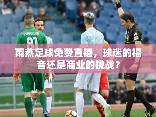 雨燕足球免费直播，球迷的福音还是商业的挑战？