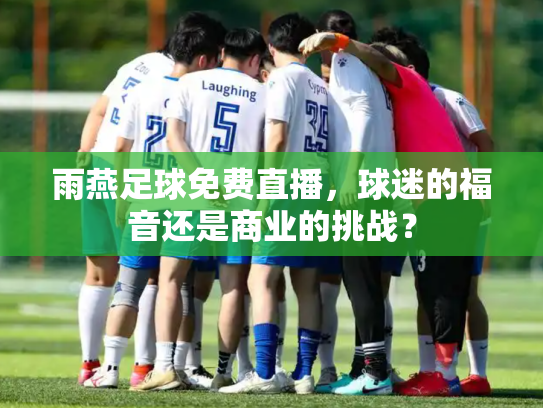 雨燕足球免费直播，球迷的福音还是商业的挑战？