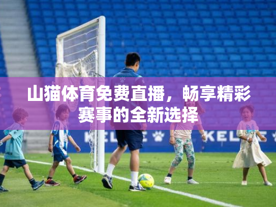 山猫体育免费直播，畅享精彩赛事的全新选择