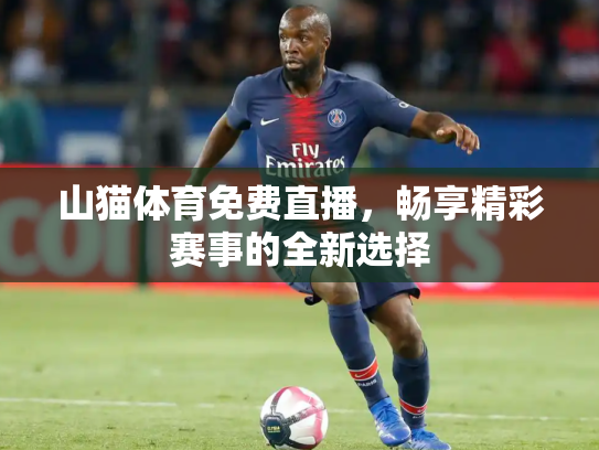 山猫体育免费直播，畅享精彩赛事的全新选择