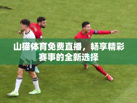 山猫体育免费直播，畅享精彩赛事的全新选择