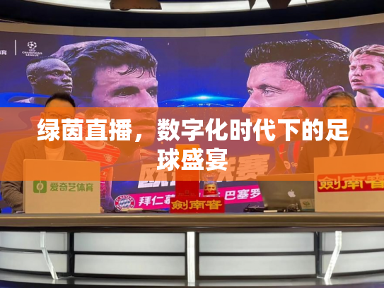 绿茵直播，数字化时代下的足球盛宴