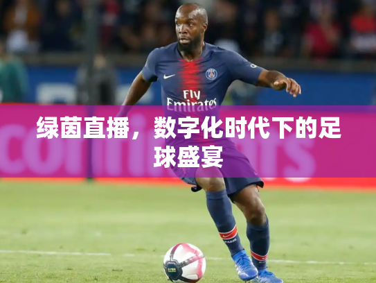 绿茵直播，数字化时代下的足球盛宴