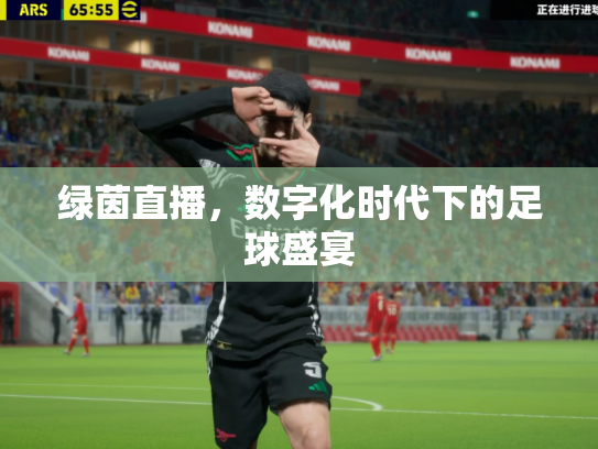 绿茵直播，数字化时代下的足球盛宴