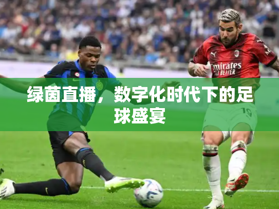 绿茵直播，数字化时代下的足球盛宴