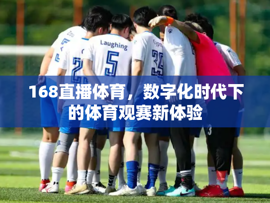 168直播体育，数字化时代下的体育观赛新体验