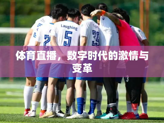 体育直播，数字时代的激情与变革