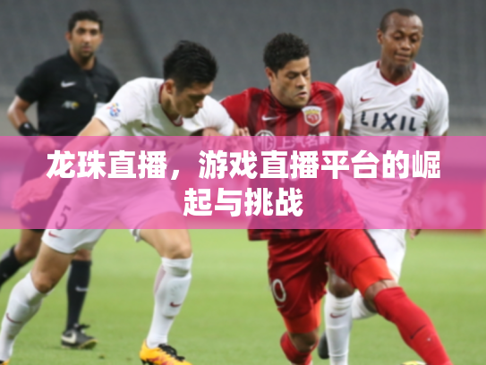 龙珠直播，游戏直播平台的崛起与挑战