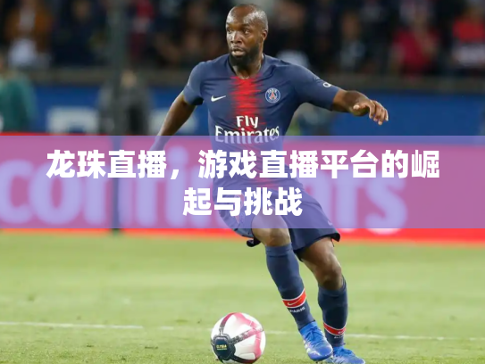 龙珠直播，游戏直播平台的崛起与挑战