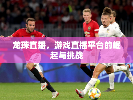 龙珠直播，游戏直播平台的崛起与挑战