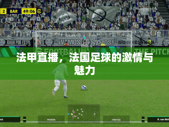 法甲直播，法国足球的激情与魅力