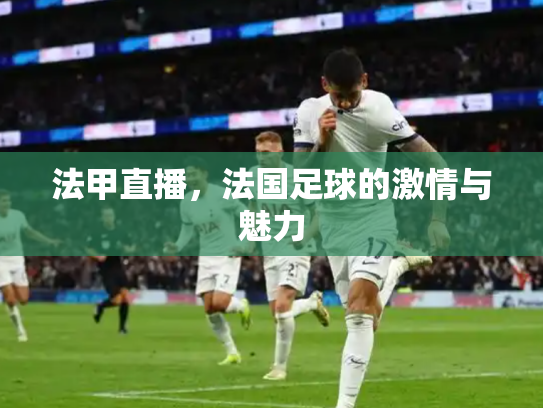 法甲直播，法国足球的激情与魅力