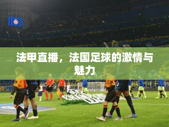 法甲直播，法国足球的激情与魅力