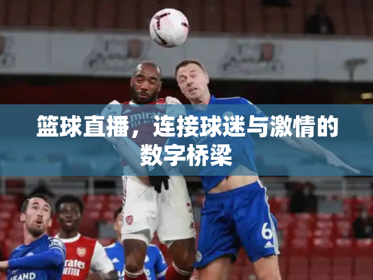 篮球直播，连接球迷与激情的数字桥梁