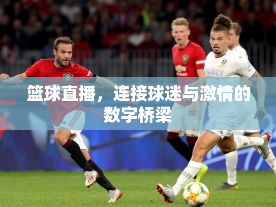 篮球直播，连接球迷与激情的数字桥梁