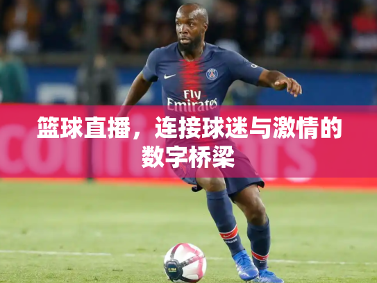 篮球直播，连接球迷与激情的数字桥梁