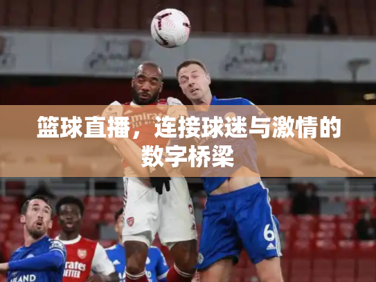 篮球直播，连接球迷与激情的数字桥梁