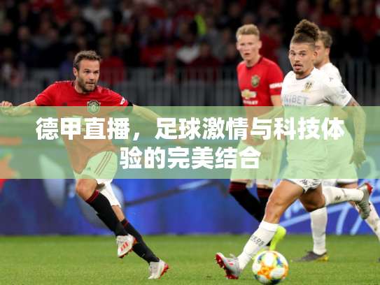 德甲直播，足球激情与科技体验的完美结合
