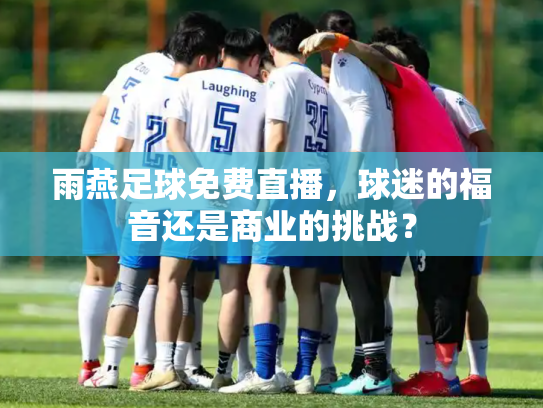雨燕足球免费直播，球迷的福音还是商业的挑战？