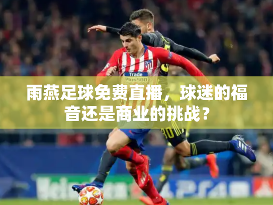雨燕足球免费直播，球迷的福音还是商业的挑战？