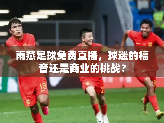 雨燕足球免费直播，球迷的福音还是商业的挑战？