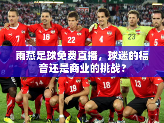 雨燕足球免费直播，球迷的福音还是商业的挑战？
