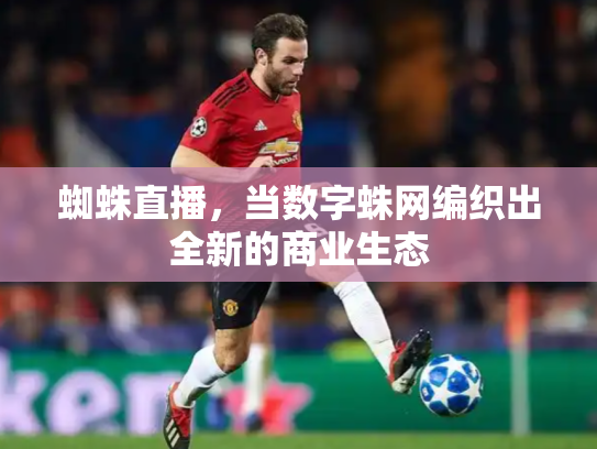 蜘蛛直播，当数字蛛网编织出全新的商业生态