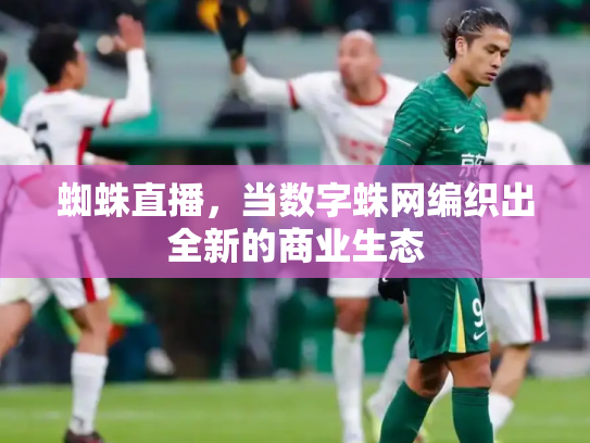 蜘蛛直播，当数字蛛网编织出全新的商业生态